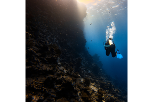 Time to Thaw Out: Spring Dive Gear Essentials
