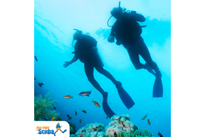 Two divers underwater