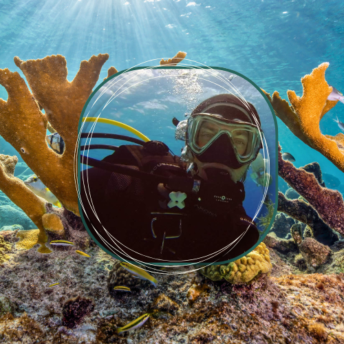 Insider’s Guide to Bonaire: A Chat with Trip Leader Chris Wilhoyt