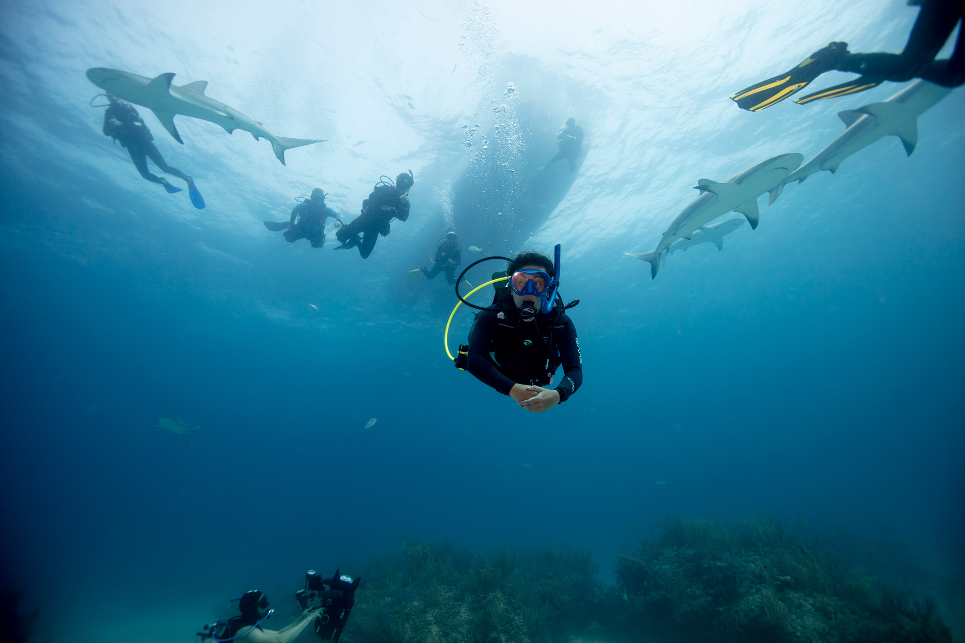 Advanced Open Water Courses