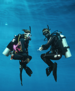 Scuba Courses