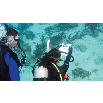 PADI Underwater Navigator Course