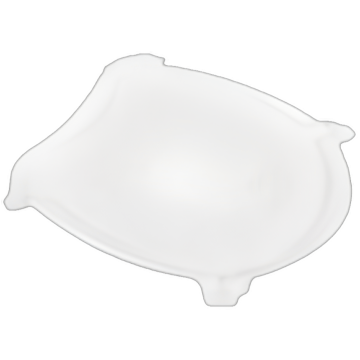 Wisdom Lens Guard