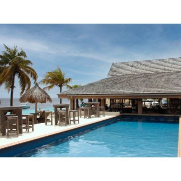 Bonaire: Join Us In Diver's Paradise - September 2026