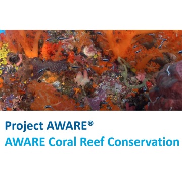 AWARE Coral Reef Conservation (Virtual Class)