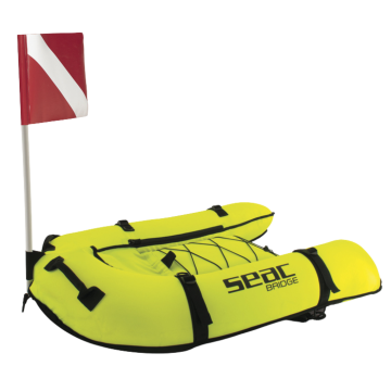 Bridge Inflatable Gangway