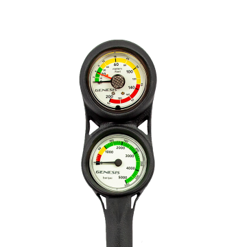 Dual Scale 2 Gauge Console