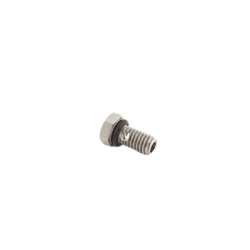 Stainless Steel P-Valve Bolt Replacement w/ORing