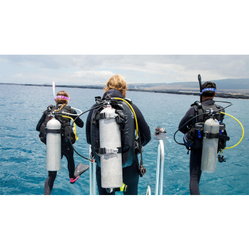 PADI Instructor Development Course (IDC)