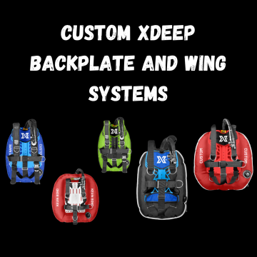 Custom Backplate and Wing Systems
