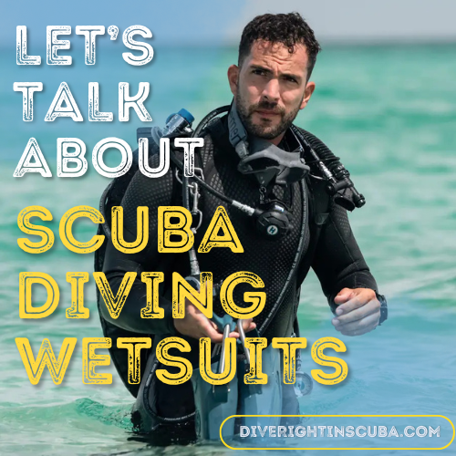 Let’s Talk About Scuba Diving Wetsuits