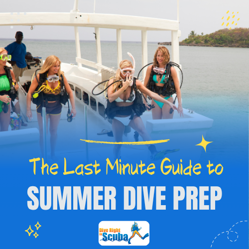 The Last Minute Guide to Summer Dive Prep