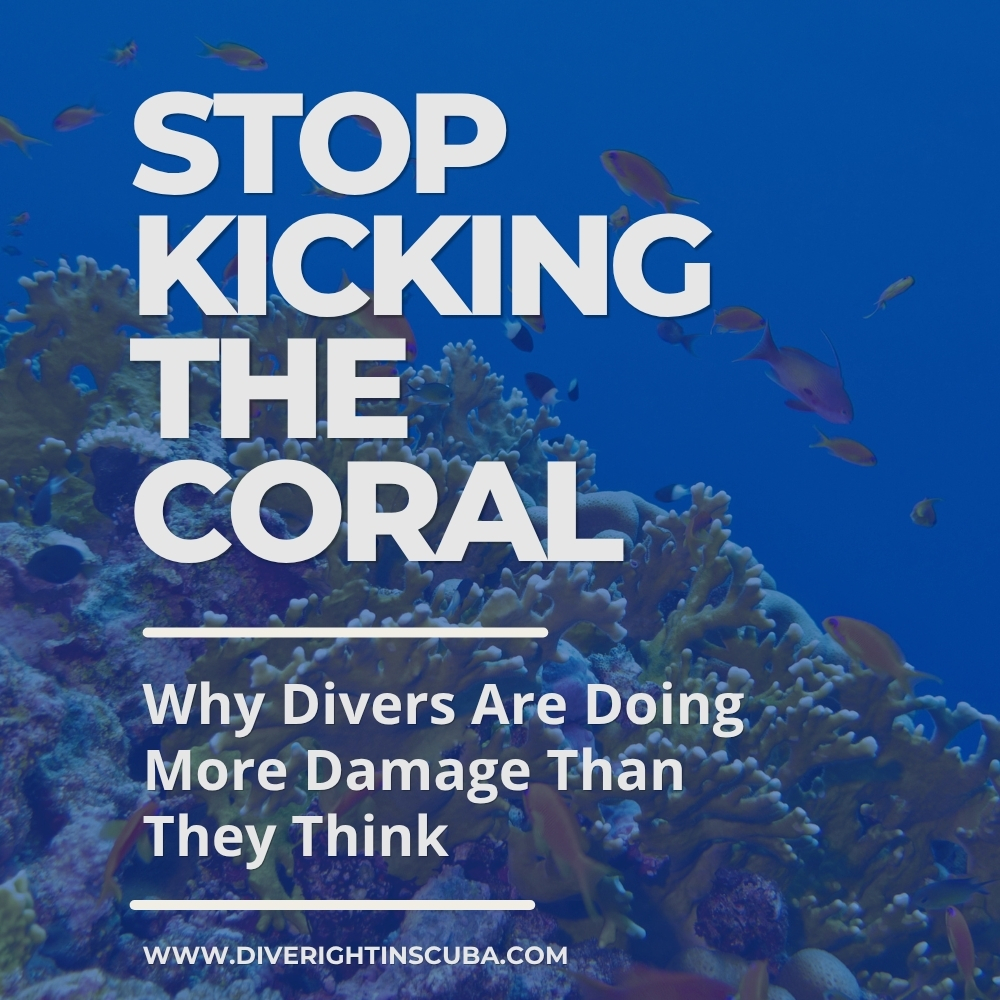 Stop Kicking the Coral