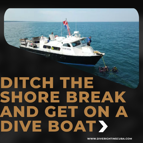 Ditch the Shore Break and Get on a Dive Boat