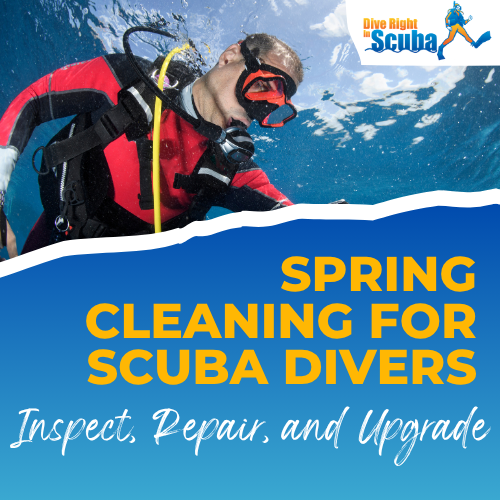 Spring Cleaning For Scuba Divers