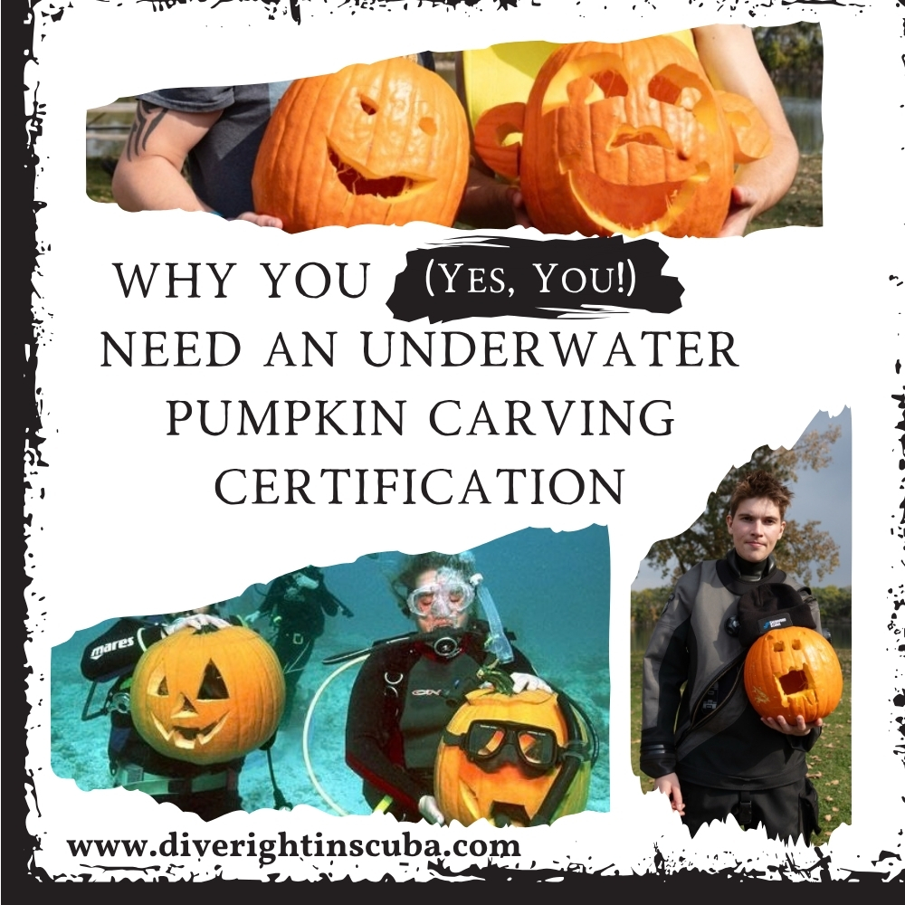 Why You (Yes, You) Need an Underwater Pumpkin Carving Certification