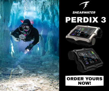 Perdix 3 For Sale