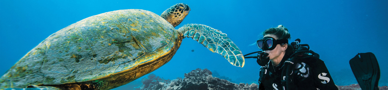 Explore top-quality scuba gear