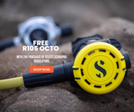 Scubapro R105 Octo Regulator.
