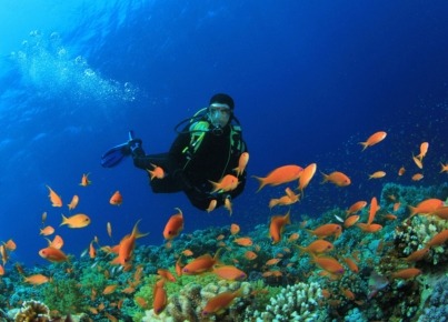 Travel Gear For Your Next Dive Trip